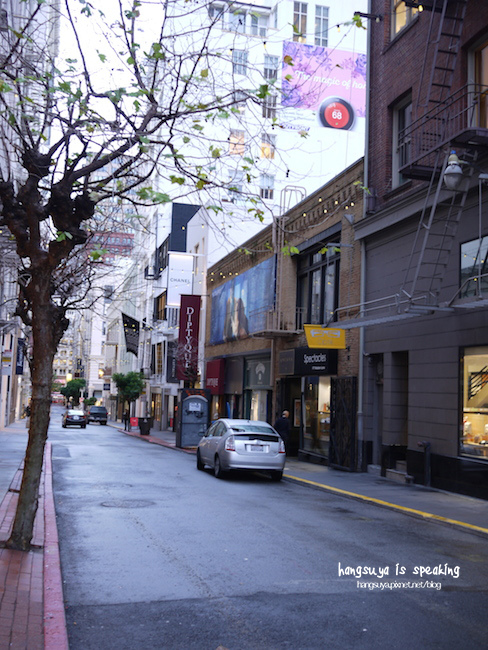 P1260228.JPG P1260228.JPG