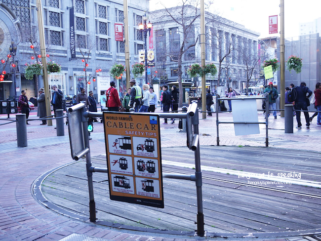 P1260298.JPG P1260298.JPG