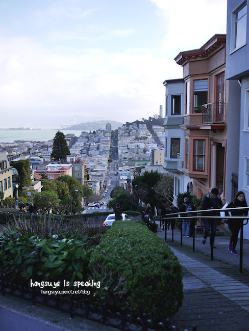 P1260311.JPG P1260311.JPG