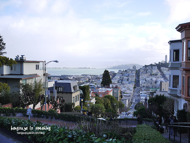 P1260312.JPG P1260312.JPG