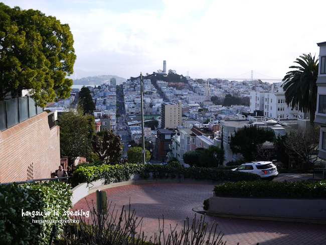 P1260318.JPG P1260318.JPG