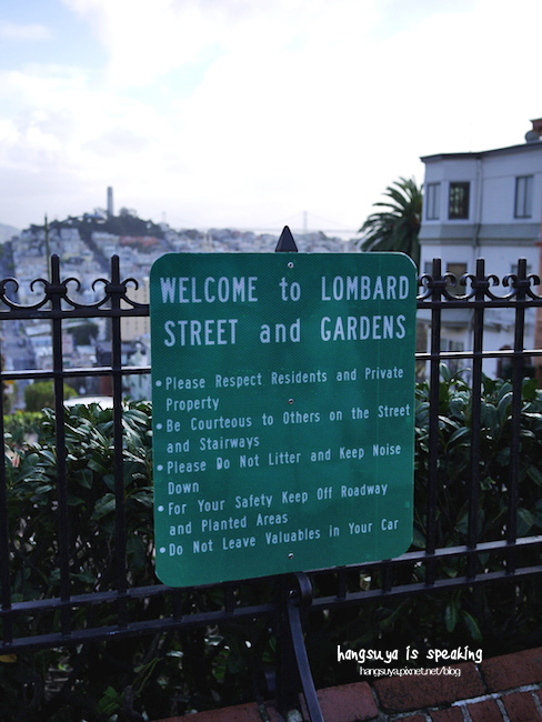 P1260317.JPG P1260317.JPG