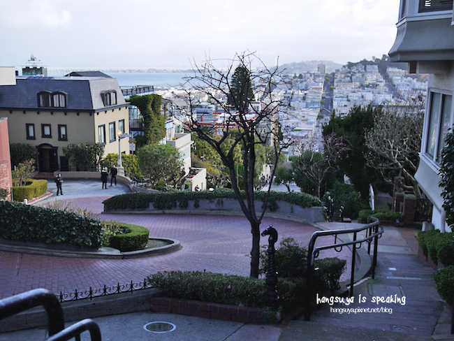 P1260321.JPG P1260321.JPG