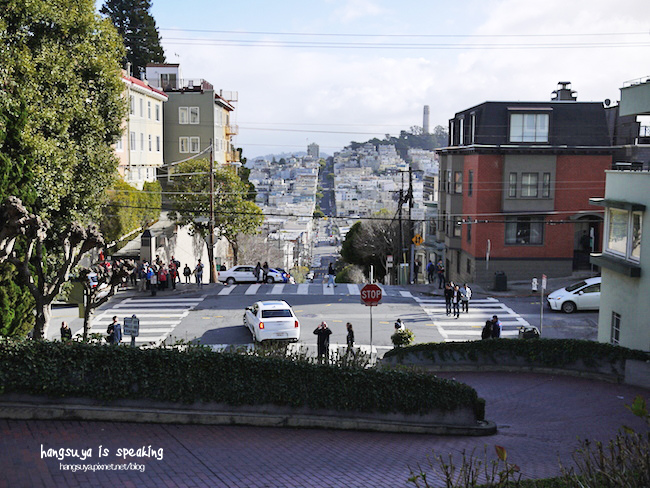 P1260331.JPG P1260331.JPG