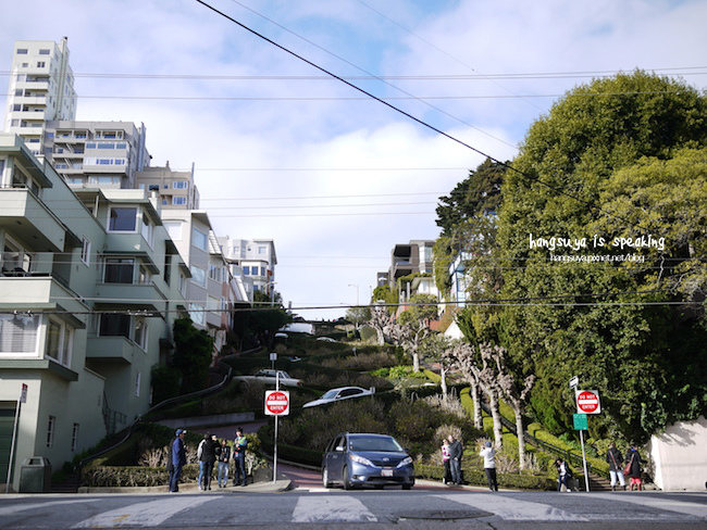 P1260339.JPG P1260339.JPG