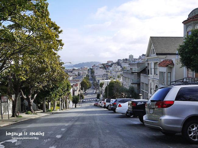 P1260359.JPG P1260359.JPG