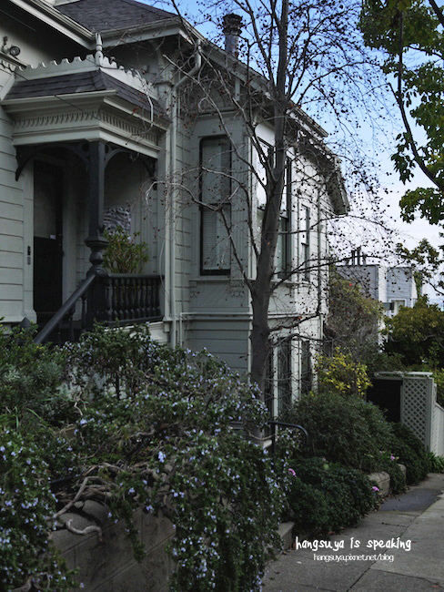 P1260362.JPG P1260362.JPG