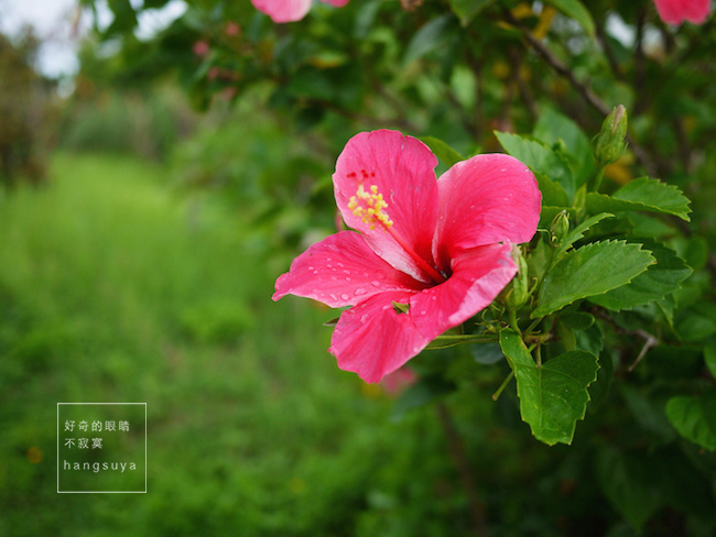 P1270772.JPG P1270772.JPG