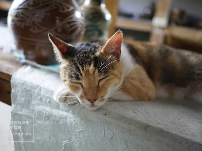 P1270786.JPG P1270786.JPG