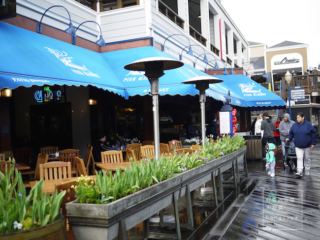 P1260525.JPG P1260525.JPG