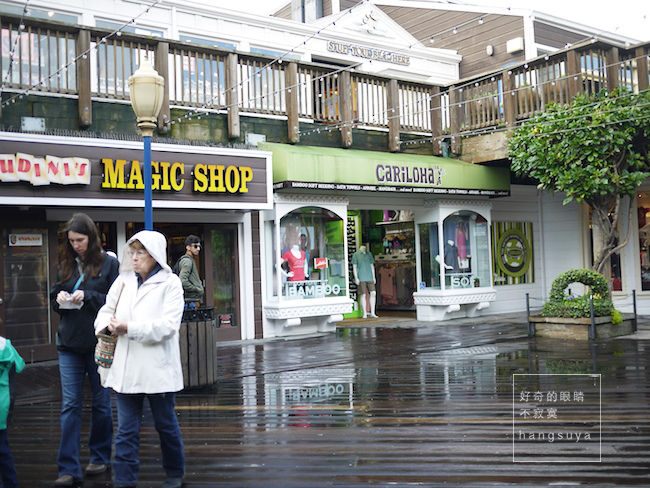 P1260523.JPG P1260523.JPG