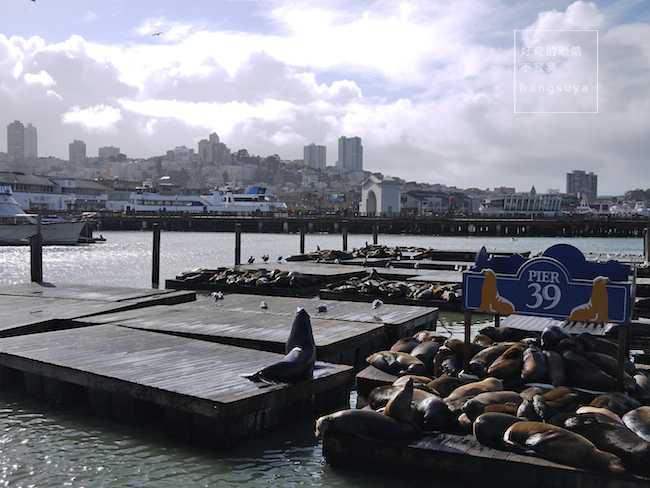 P1260542.JPG P1260542.JPG