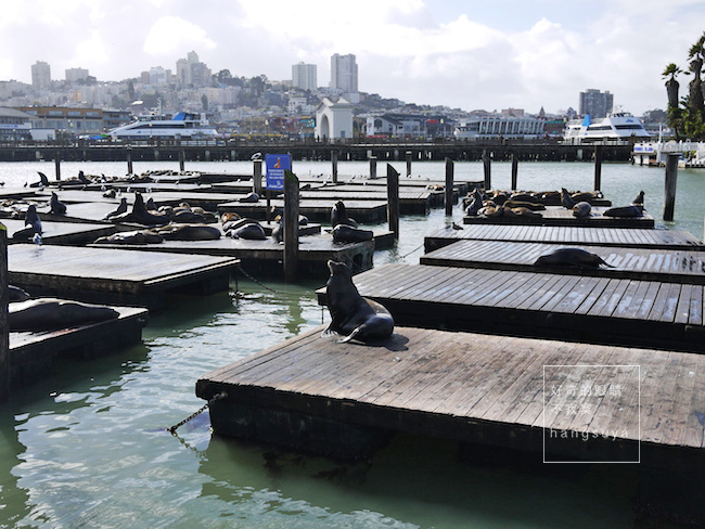 P1260537.JPG P1260537.JPG