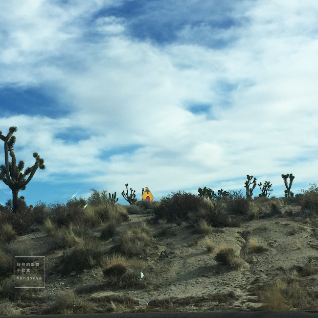 IMG_2510.jpg IMG_2510.jpg