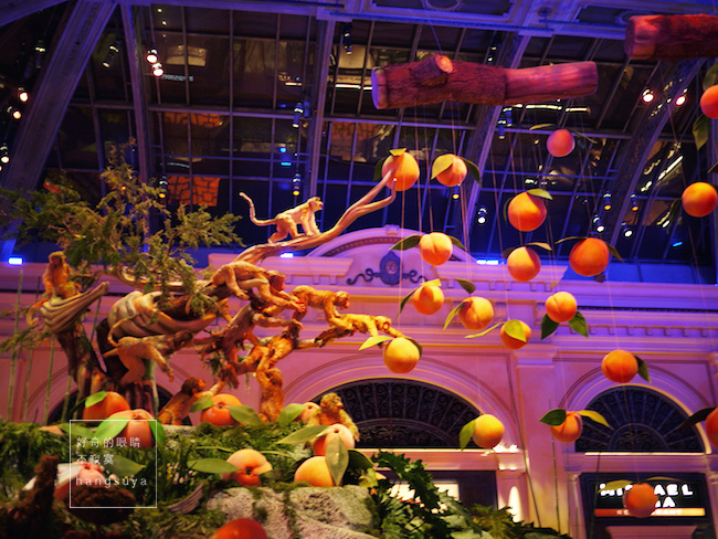 P1250350.JPG P1250350.JPG