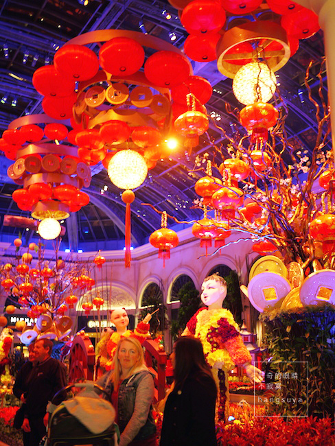 P1250346.JPG P1250346.JPG