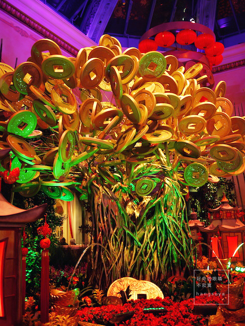 P1250351.JPG P1250351.JPG