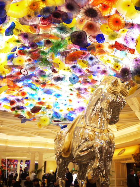 P1250391.JPG P1250391.JPG