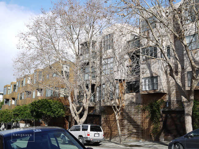 P1260560.JPG P1260560.JPG