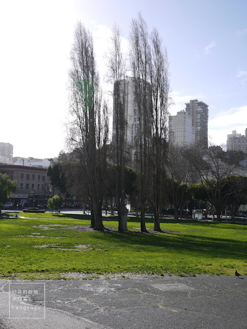 P1260577.JPG P1260577.JPG