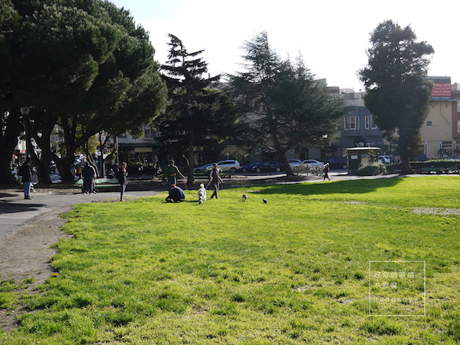 P1260582.JPG P1260582.JPG