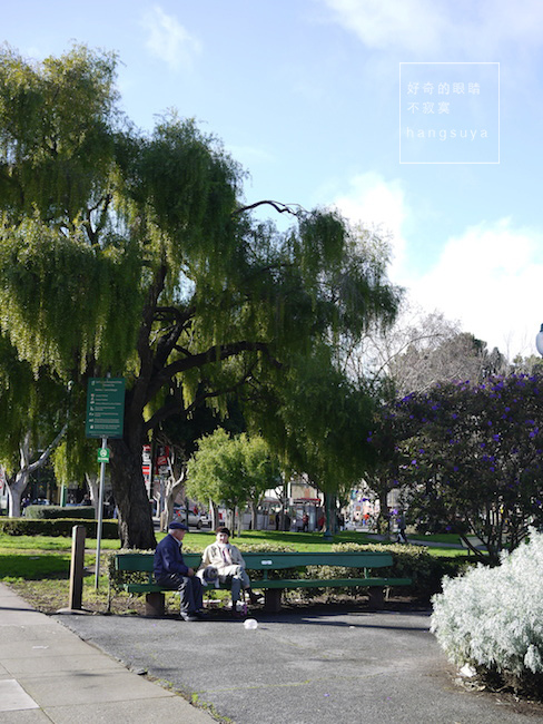 P1260593.JPG P1260593.JPG