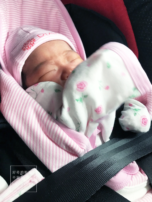 IMG_9018.jpg IMG_9018.jpg