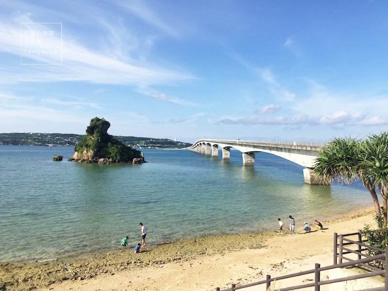 IMG_5672.JPG IMG_5672.JPG