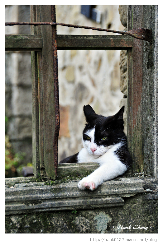 DSC_6420s.jpg DSC_6420s.jpg