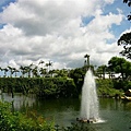 東南植物園～熱得極致