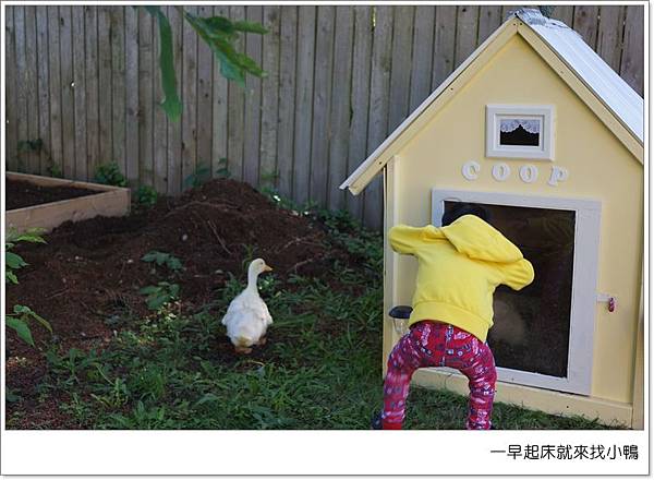 QQ2517.JPG QQ2517.JPG