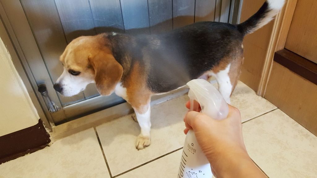 771695.jpg 771695.jpg