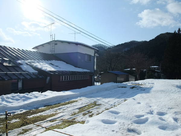 DSCF0937.JPG DSCF0937.JPG