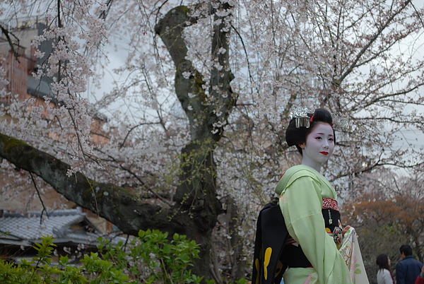 2010, kyoto 2010, kyoto