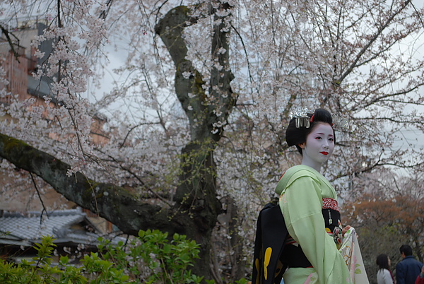 2010, kyoto