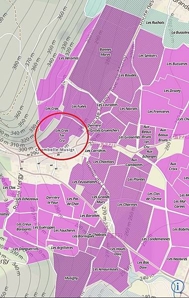 Chambolle Musigny les cras.jpg