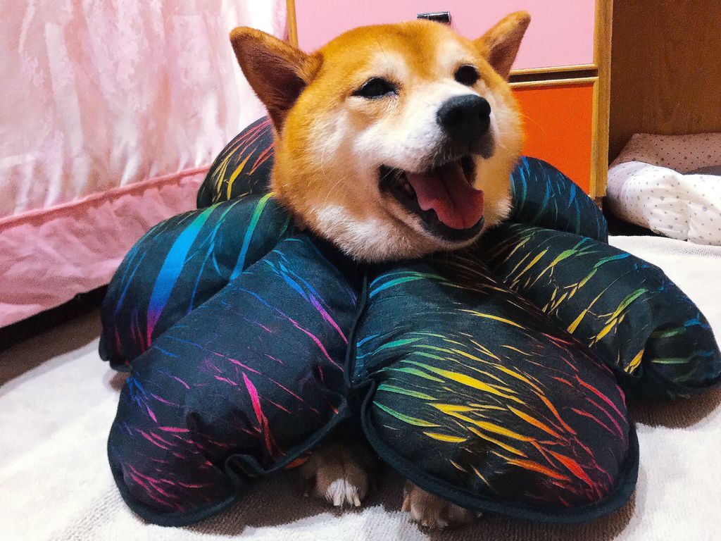 IMG_2063.JPG IMG_2063.JPG