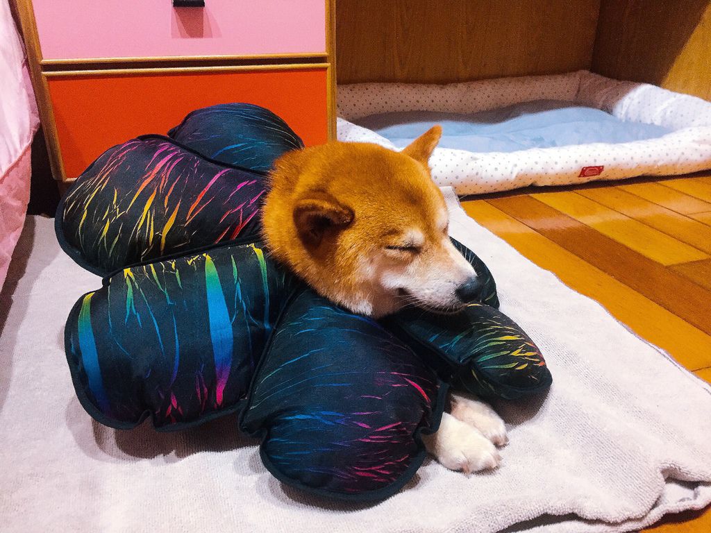 IMG_2065.JPG IMG_2065.JPG