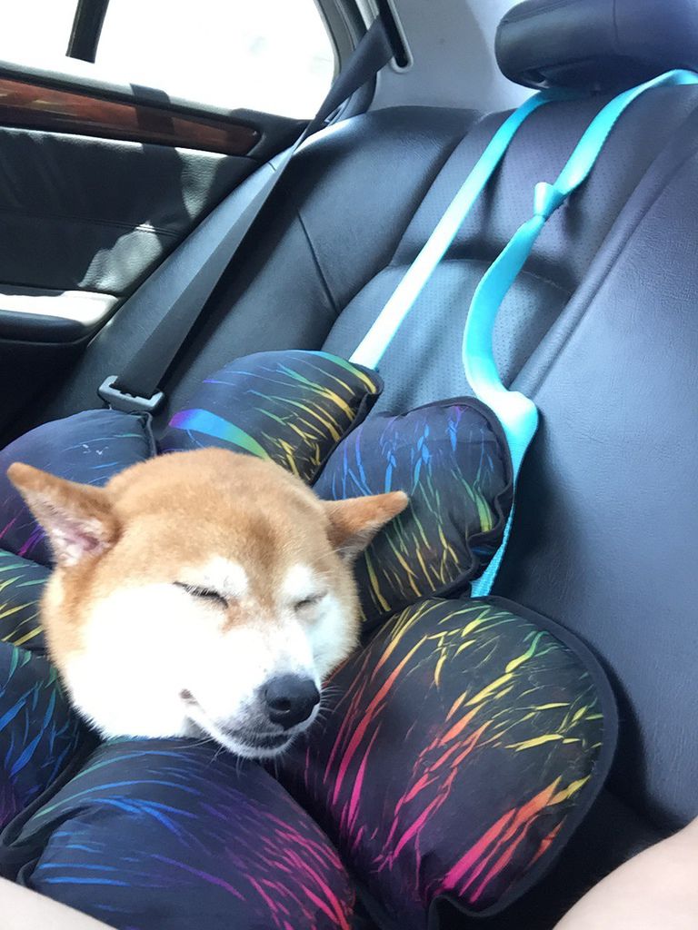 IMG_2073.JPG IMG_2073.JPG