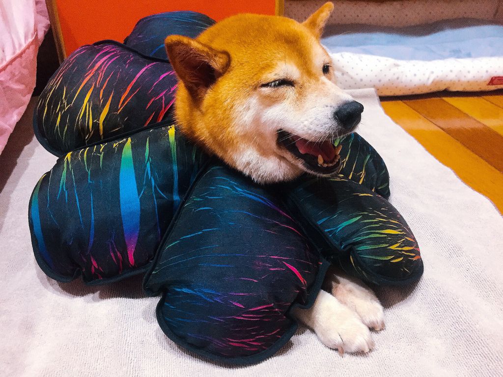 IMG_2064.JPG IMG_2064.JPG