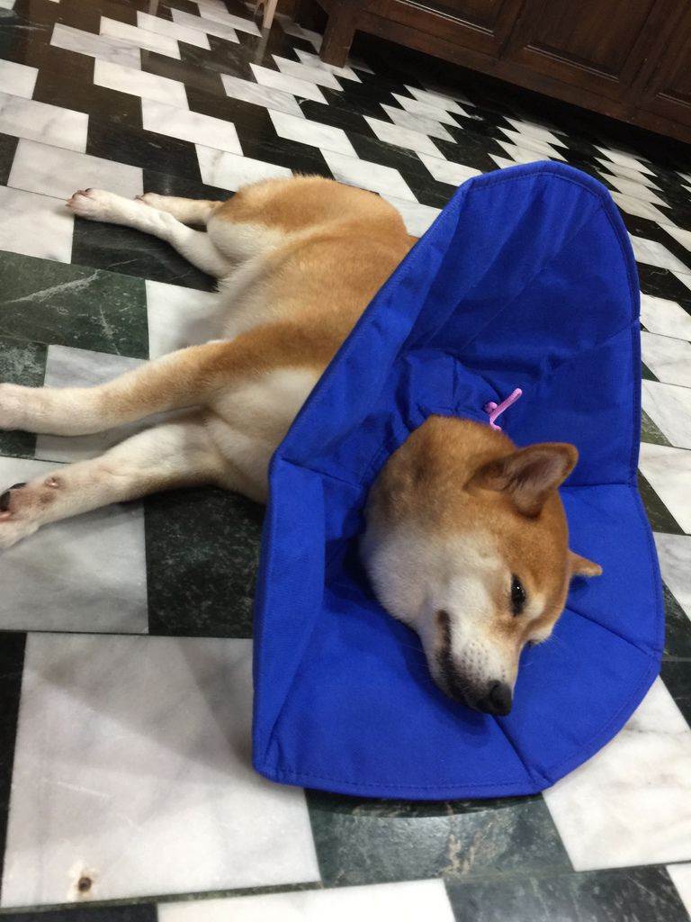 IMG_1899.JPG IMG_1899.JPG