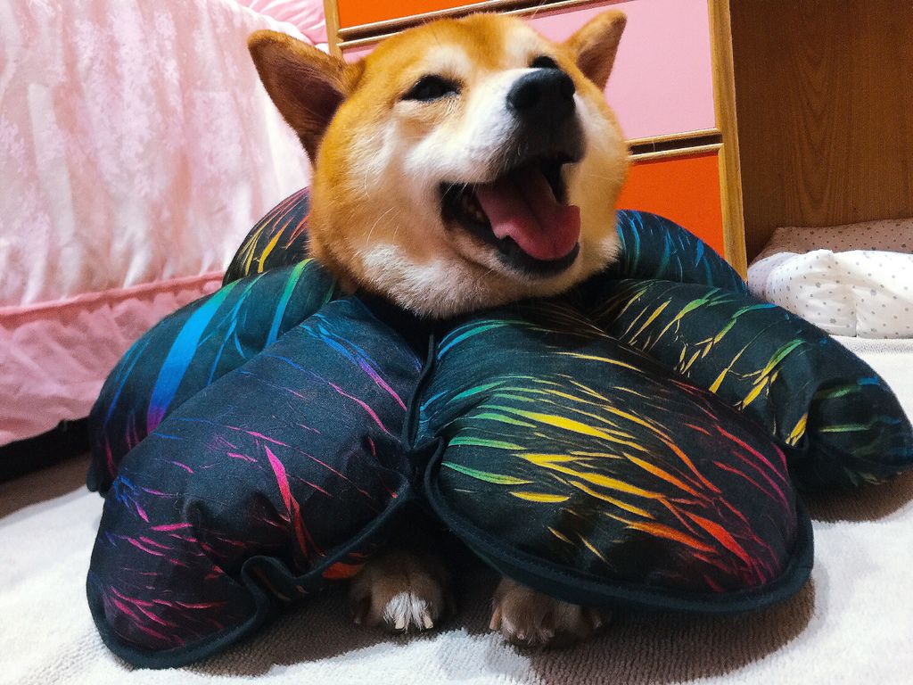 IMG_2062.JPG IMG_2062.JPG