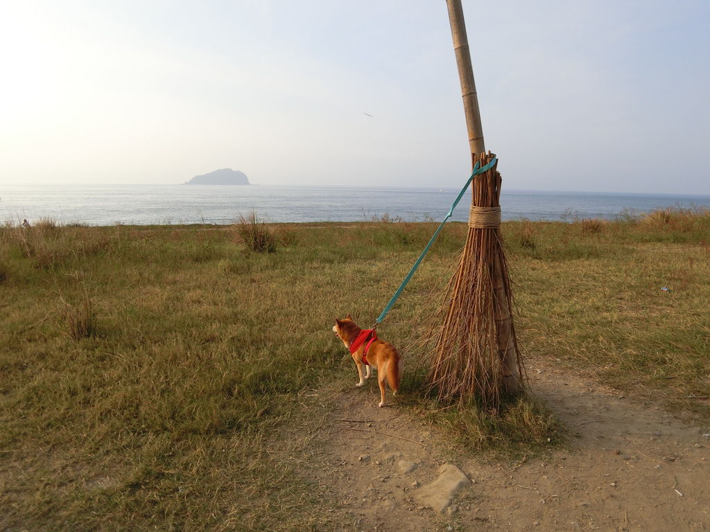 CIMG7353.JPG CIMG7353.JPG