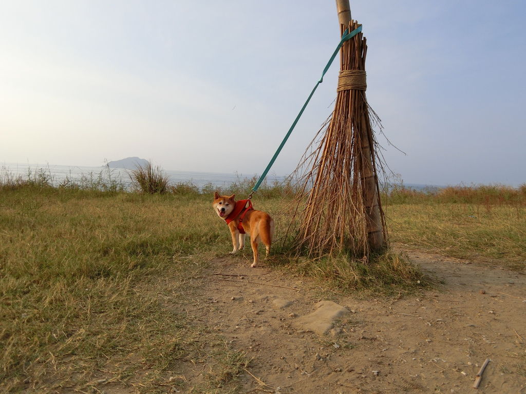 CIMG7354.JPG CIMG7354.JPG