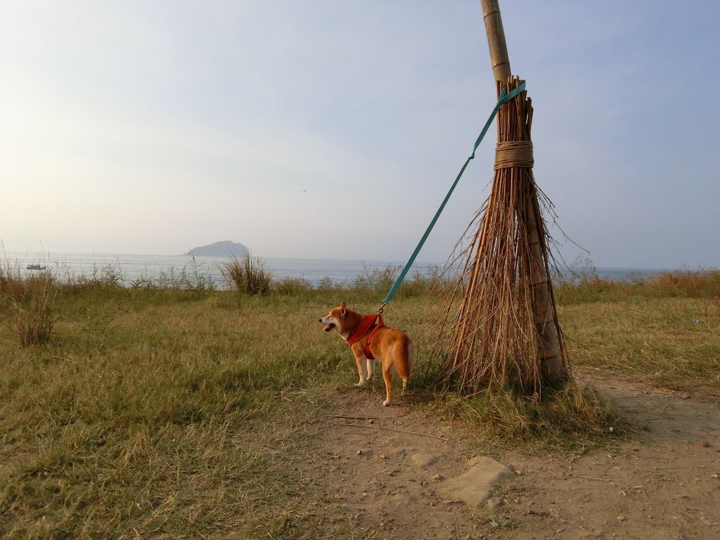 CIMG7355.JPG CIMG7355.JPG