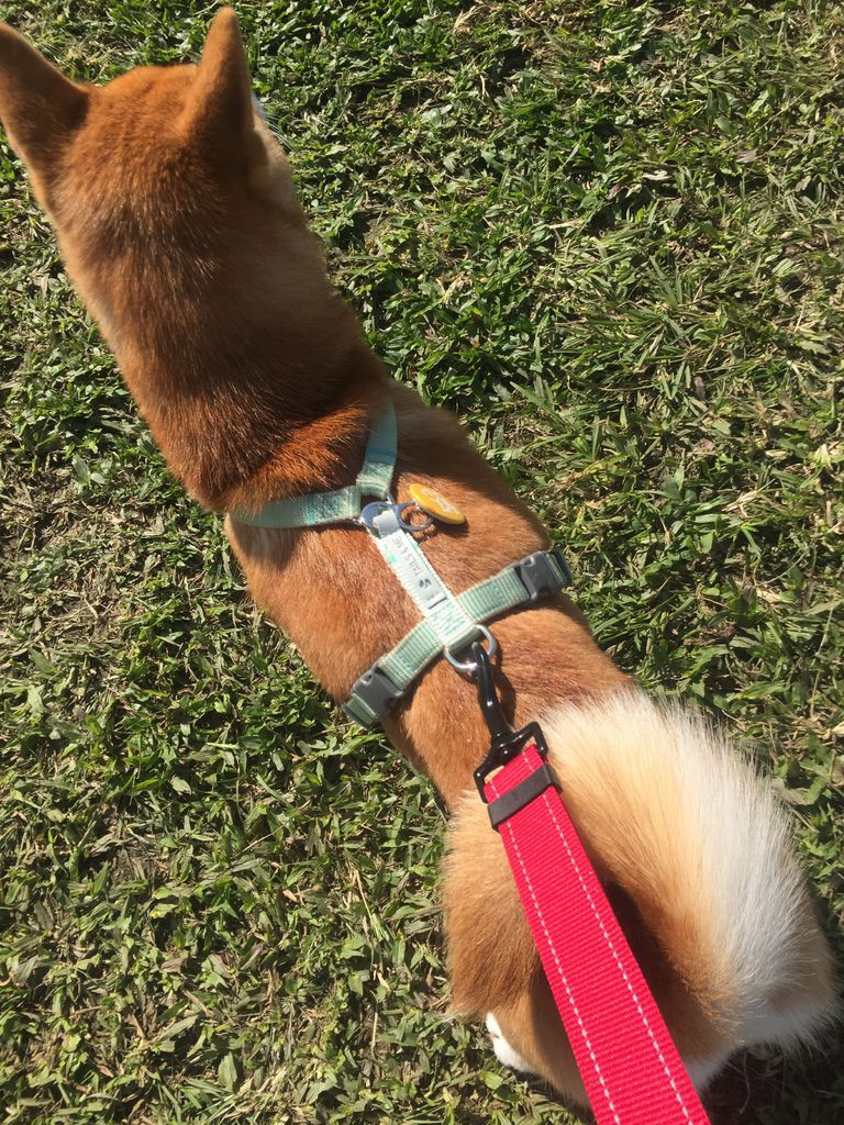 IMG_1071.JPG IMG_1071.JPG