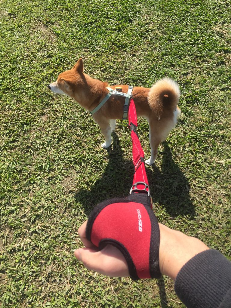 IMG_1073.JPG IMG_1073.JPG