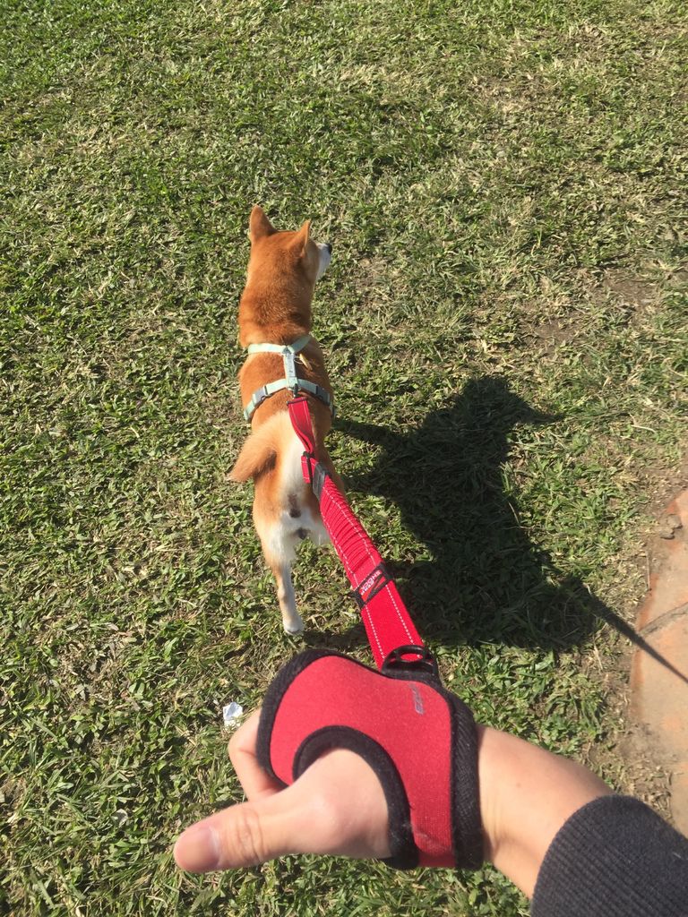 IMG_1070.JPG IMG_1070.JPG