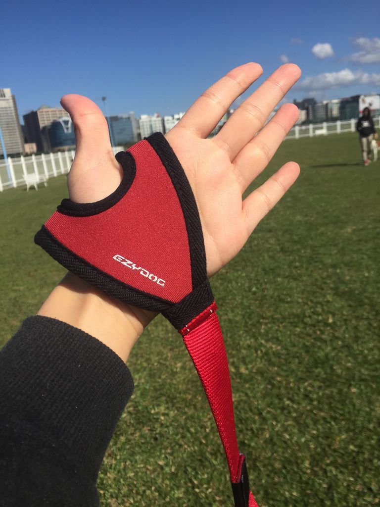 IMG_1241.JPG IMG_1241.JPG