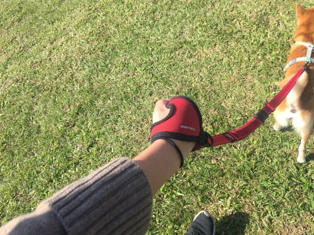 IMG_1086.JPG IMG_1086.JPG